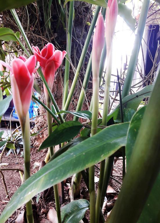 Phonepraseuth Guesthouse Luang Prabang Exteriör bild