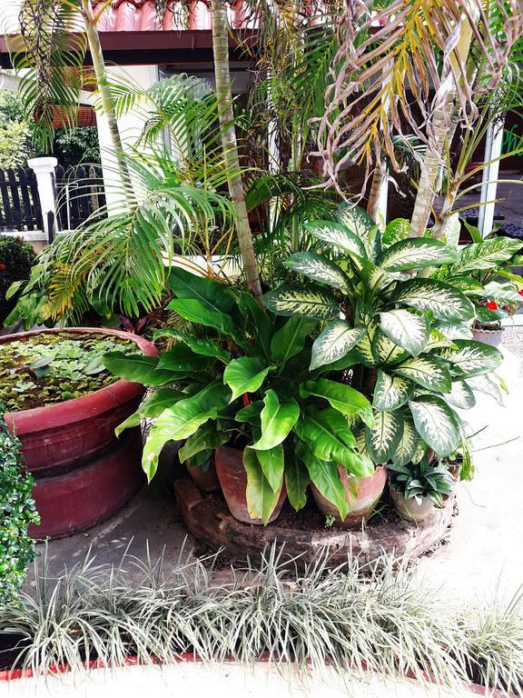Phonepraseuth Guesthouse Luang Prabang Exteriör bild